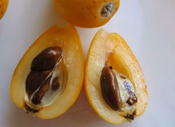 Năm 2017, quả biwa bất ngờ xuất hiện tại thị trường Việt Nam và khiến nhiều người "phát cuồng", lùng khắp nơi để mua về ăn thử.