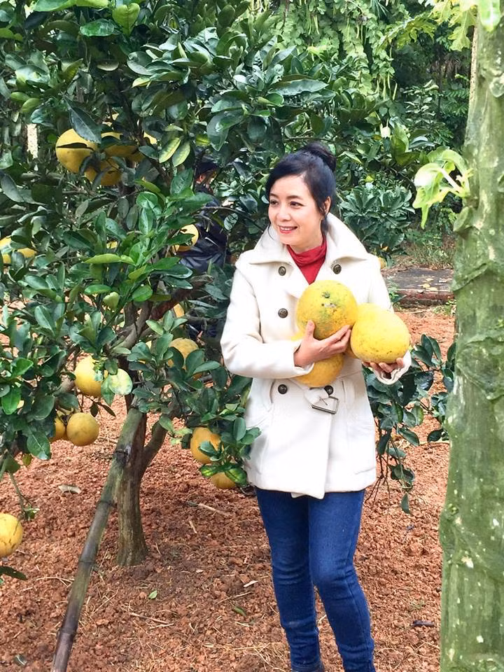 Khu vườn chạy dọc bờ sông Tích dài khoảng 200m, đủ để trồng hàng trăm cây trái như: bưởi diễn, đu đủ, cam, mít, ổi, lê...Ảnh: Vietnamnet