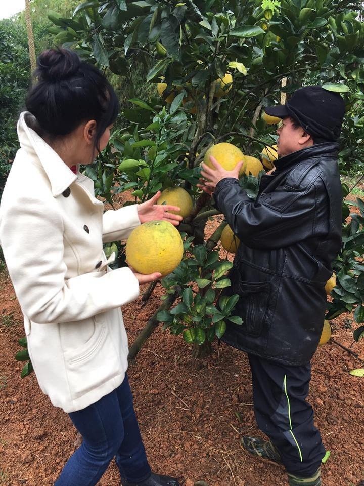 Vợ chồng NSƯT Chiều Xuân và Đỗ Hồng Quân đầu tư một khu vườn rộng 1000m2 ở ngoại thành Hà Nội để trồng rau, củ, quả sạch. Ảnh: Vietnamnet.