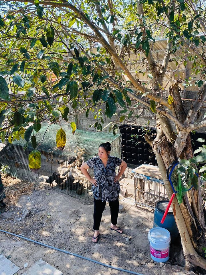 Ngoài căn nhà khá rộng rãi ở TP HCM, vợ chồng nghệ sĩ Hồng Vân - Lê Tuấn Anh còn có một gia trang ở Long Hải (Vũng Tàu). Ảnh: Vietnamnet.