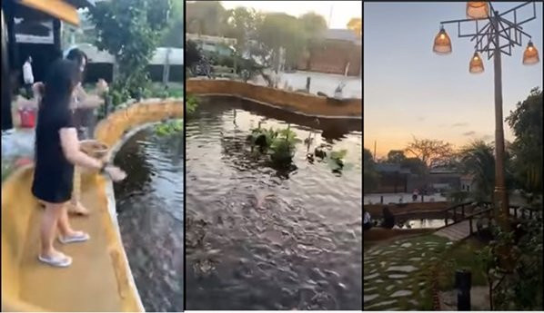 Căn nhà do một tay nghệ sĩ Tuấn Anh xây dựng. Ảnh: Giadinhnet