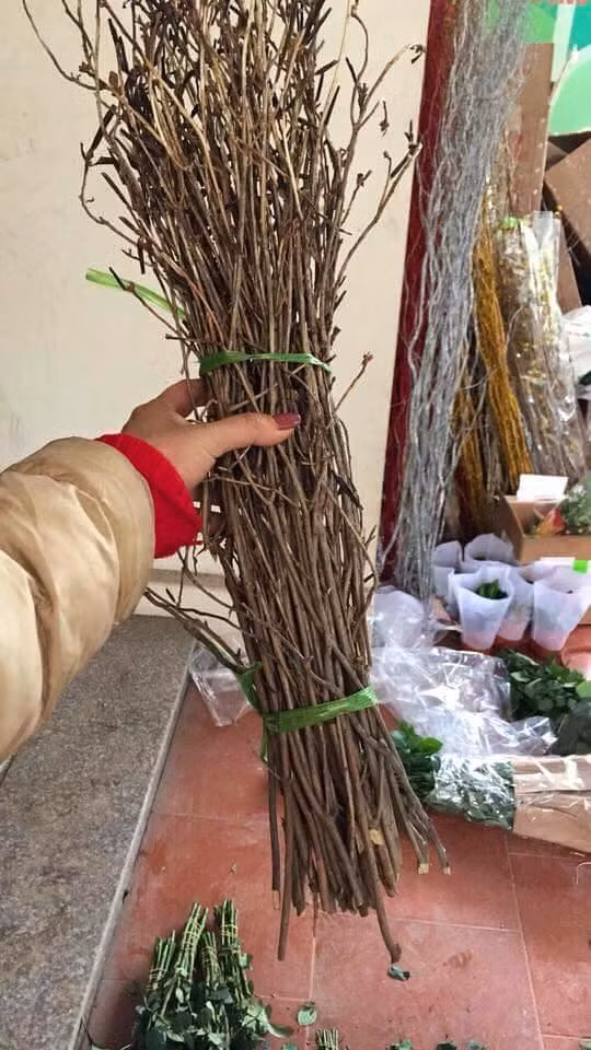 Hoa đỗ quyên nhìn có vẻ như một cành củi khô nhưng thực tế vẫn còn ẩm liên kết tồn tại bên trong thân cành...