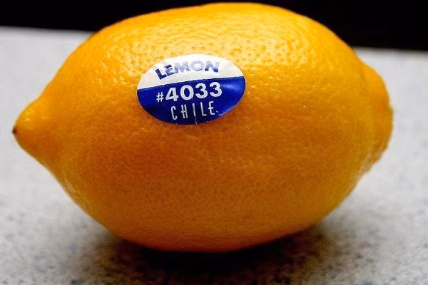 Quả gắn nhãn 4 số, trong đó bắt đầu bằng số 4 là loại quả được trồng theo phương pháp thông thường. Người trồng vẫn dùng thuốc diệt cỏ, trừ sâu, phân bón vô cơ... trong quá trình trồng.