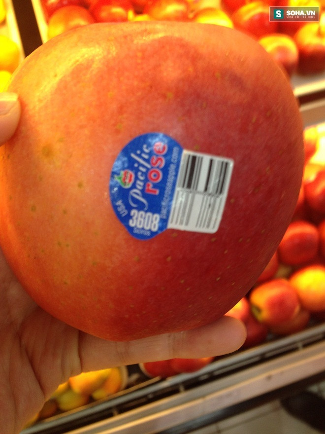 Nguyên nhân gây tranh cãi là có những quan niệm khác nhau về việc liệu thực phẩm biến đổi gen có thể gây ảnh hưởng sức khỏe con người hay không, đến nay chưa có kết luận cuối cùng.