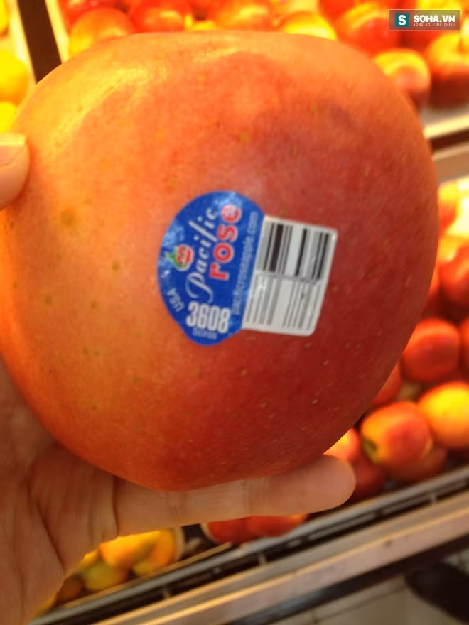 Nguyên nhân gây tranh cãi là có những quan niệm khác nhau về việc liệu thực phẩm biến đổi gen có thể gây ảnh hưởng sức khỏe con người hay không, đến nay chưa có kết luận cuối cùng.