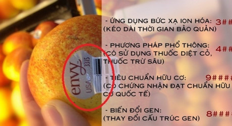 Với loại trái cây này, bạn cần rửa kỹ khi ăn và tuyệt đối không ăn vỏ hay sử dụng vỏ để chế biến món ăn. Video: Hái ra tiền nhờ danh xưng hot girl. Nguồn: VTC1