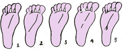 Dau hieu vang trong long ban chan hua hen se dap trung “kho bau” cua Than Tai