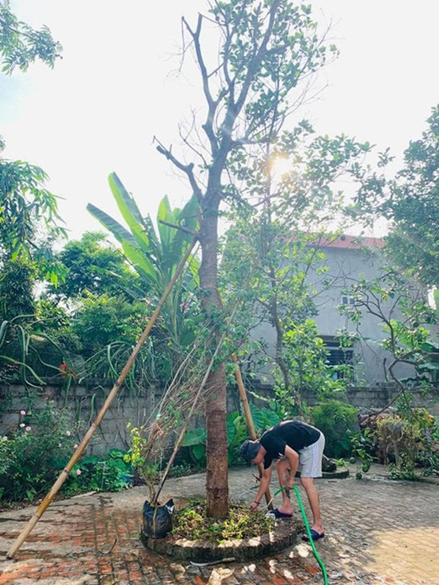 Sau mỗi khoảng thời gian làm việc bận rộn, nam diễn viên Hồng Đăng lại cùng gia đình trở đây trồng cây ăn trái, chăm hoa cảnh, hưởng thụ cuộc sống bình dị.