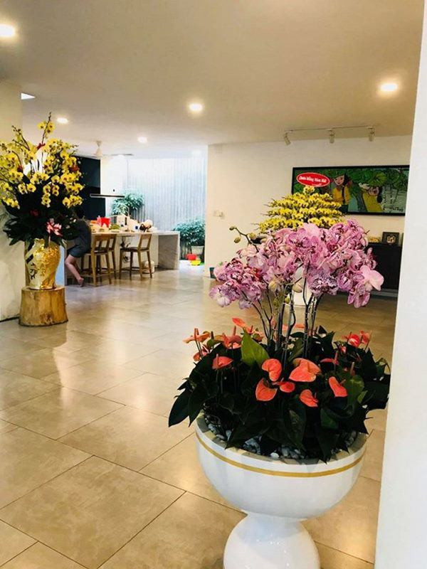 Biệt thự của Hồ Ngọc Hà được dọn dẹp sạch sẽ và để nhiều loại cây đặc trưng vào ngày Tết như mai, lan, cúc...