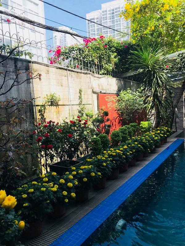 Bên ngoài bể bơi gia đình là dãy hoa cúc do mẹ của Hà Hồ mua.
