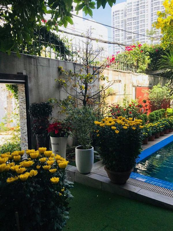 Đủ các loại hoa khoe sắc trong sân nhà Hồ Ngọc Hà.