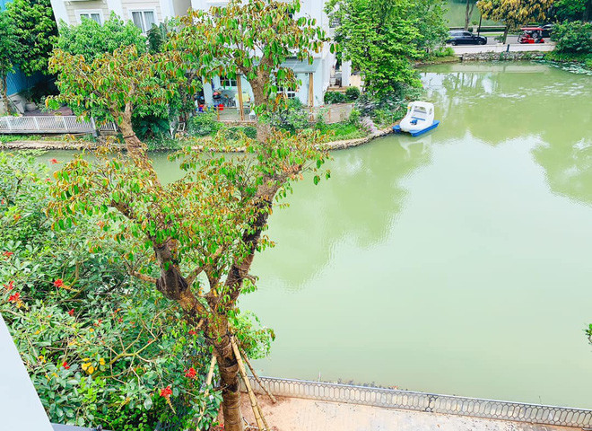 Ngay cạnh biệt thự của Lã Thanh Huyền là hồ nước thơ mộng.