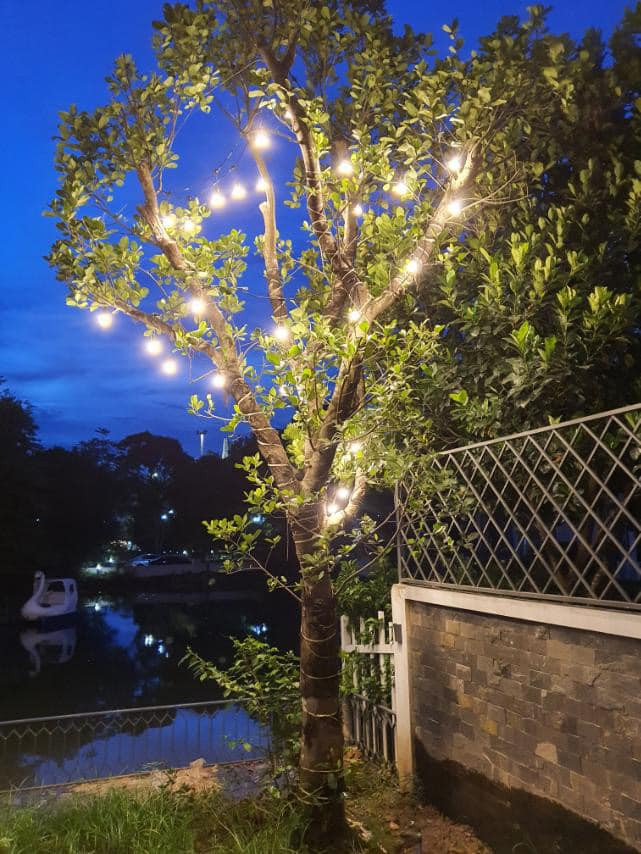 Những cây thân cao được Lã Thanh Huyền trang hoàng thêm đèn để không gian thơ mộng hơn vào buổi tối.