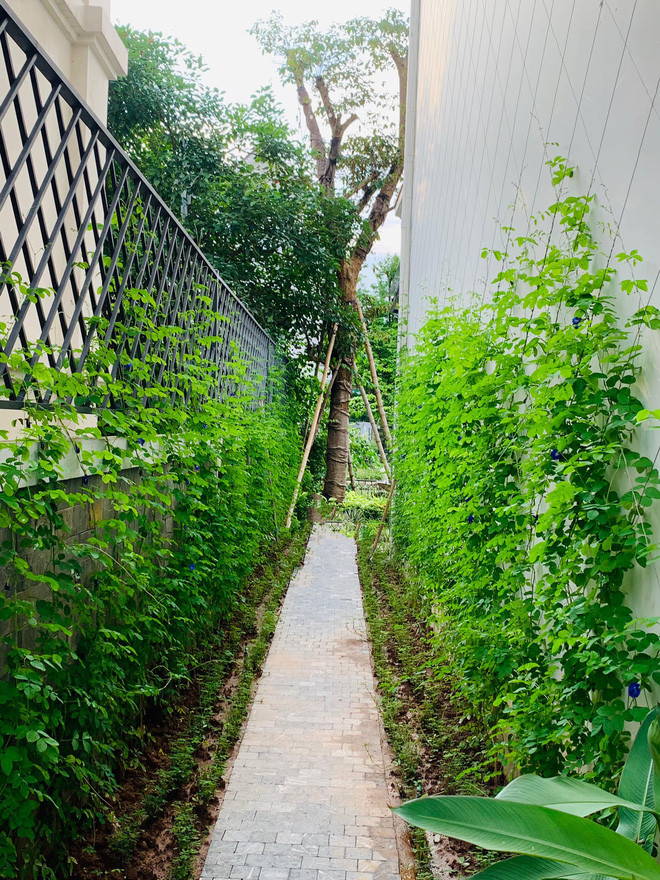 Lã Thanh Huyền cho biết đích thân cô tự tay chăm sóc 2 mảnh vườn và cứ thấy hoa nở là tâm trạng nữ diễn viên vui như có quà.