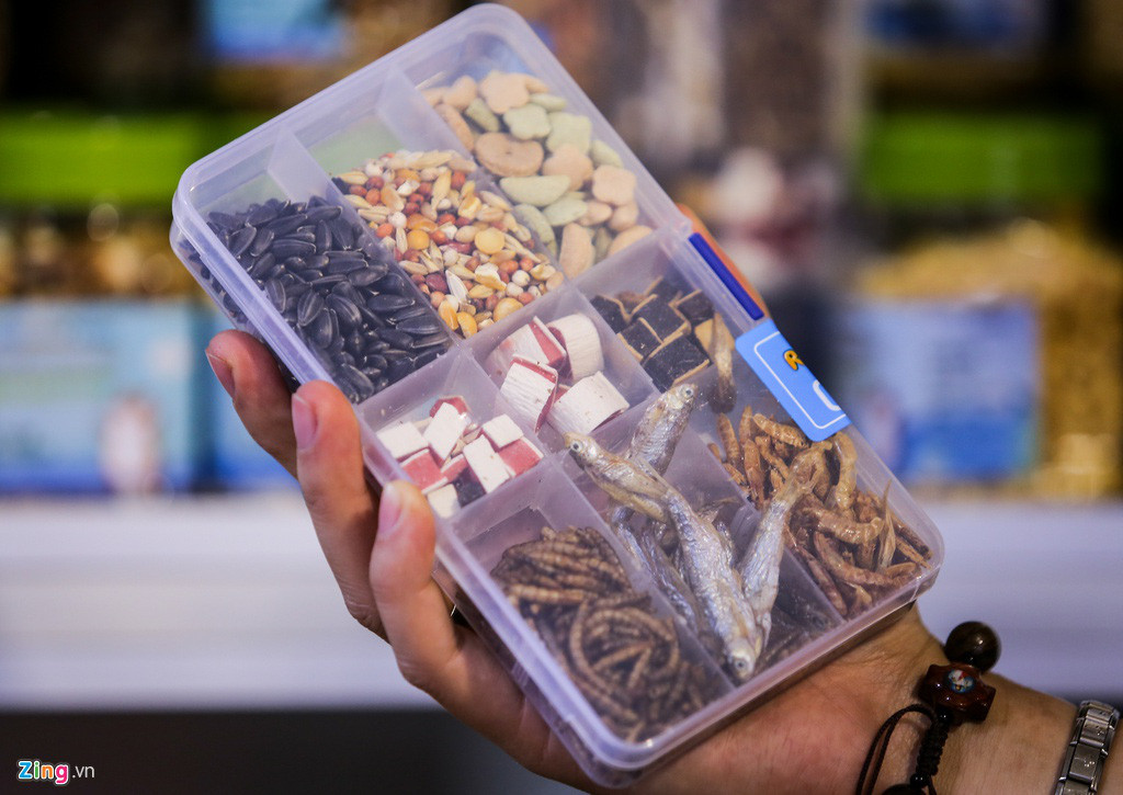 Thức ăn cho chuột có rất nhiều loại như: sâu, thịt bò, hải sản, hạt ngũ cốc...Ảnh: Zing.
