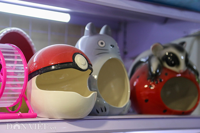 Không chỉ chuột cảnh hamster, những món phụ kiện trang trí cho không gian sinh sống của chuột cũng đắt khách. Ảnh: Dân Việt.