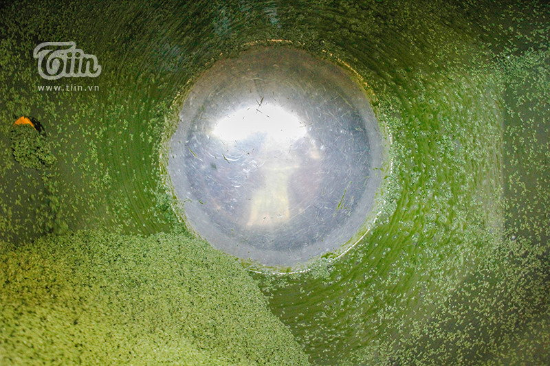 Bánh chưng được làm ra có hỗ trợ từ máy móc được đánh giá là độ chuẩn xác cao về hình dáng, đảm báo tính thẩm mỹ. Với tốc độ siêu nhanh, một phút làm được 1 cái bánh, mỗi ngày, dây chuyền làm bánh chưng của anh Tưởng có thể cho ra lò hơn một ngàn cái.