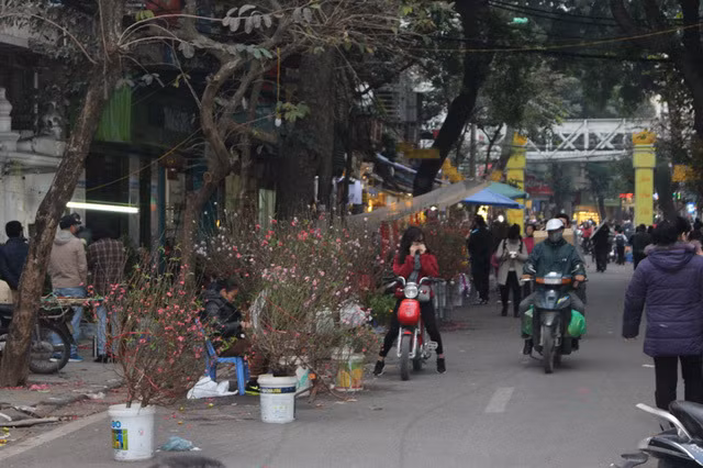 Chợ hoa Tết Hàng Lược chỉ họp một phiên duy nhất trong năm, bắt đầu từ 23 tháng Chạp tới tối ngày 30.