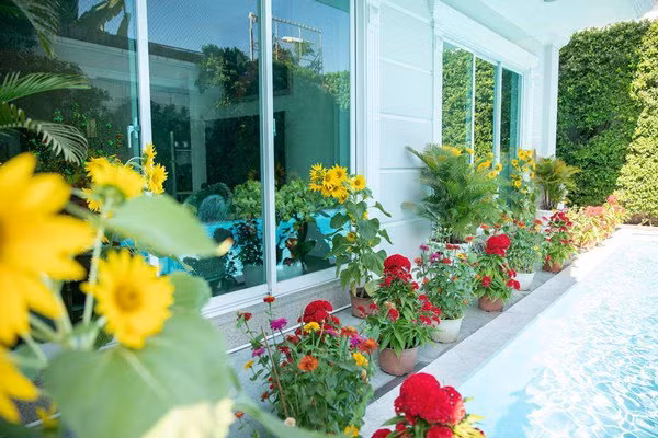 Mọi góc trong nhà đều thể hiện độ sang chảnh, xa hoa của gia chủ. Nguồn ảnh: FBNV. Video: Sự thật về đồ tiền tỷ của sao Việt. Nguồn: VTC1