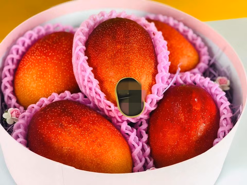 Giua dich Covid-19, xoai Nhat gan 2 trieu/qua nha giau Viet manh tay 