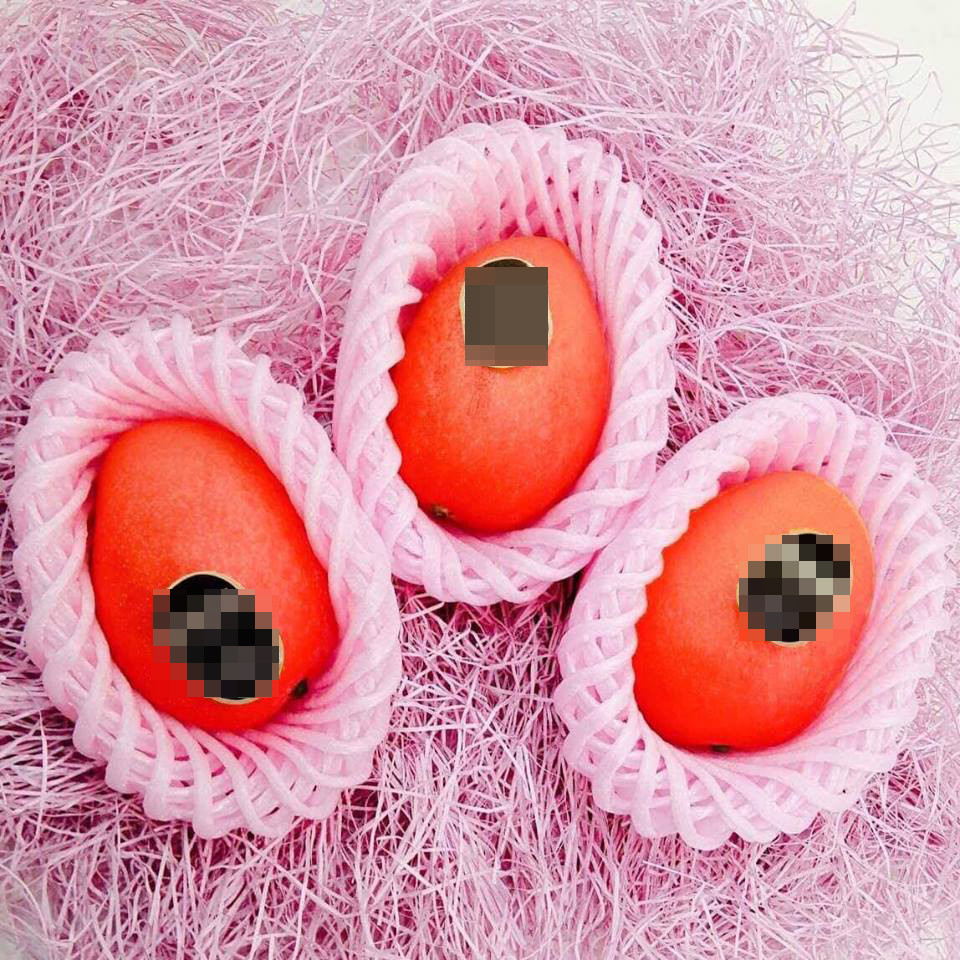 Đây là giống xoài đỏ được trồng ở vùng Miyazaki, nằm ở phía Nam của nước Nhật. Ảnh: Mia Fruit.