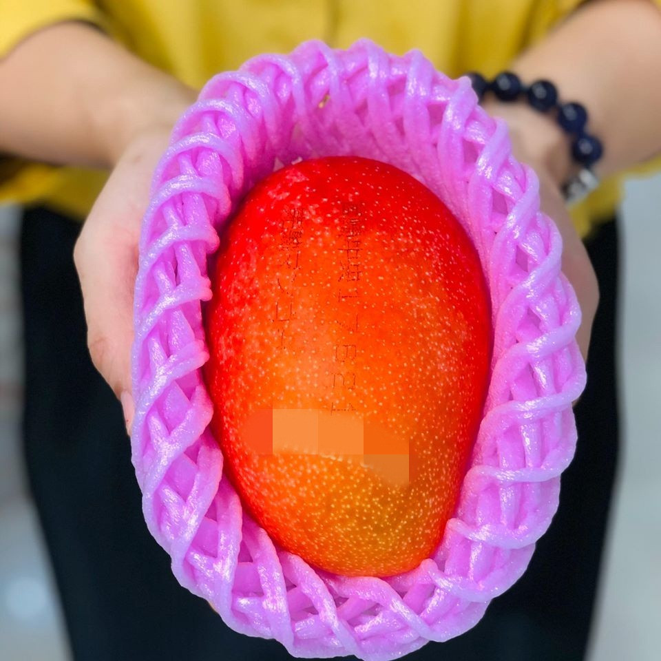 Xoài Ruby có màu sắc rất bắt mắt, vỏ mịn màng, khi cầm trên tay người tiêu dùng có thể cảm nhận được hương thơm rất lâu. Ảnh: Mia Fruit.