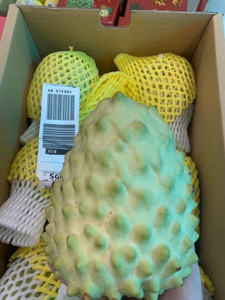 Thời gian gần đây, thị trường hoa quả nhập khẩu Việt Nam bắt đầu xuất hiện na Đài Loan với trọng lượng khủng, có quả lên tới cả kg.