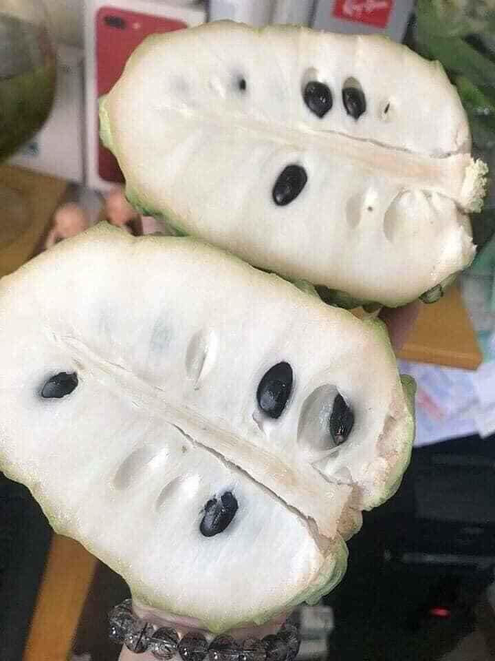 Chị Hoa (Cầu Giấy, Hà Nội) cho biết năm nào cũng mua na khổng lồ của Đài Loan cho mấy đứa nhỏ trong nhà.