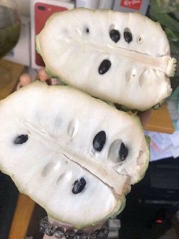 Chị Hoa (Cầu Giấy, Hà Nội) cho biết năm nào cũng mua na khổng lồ của Đài Loan cho mấy đứa nhỏ trong nhà.