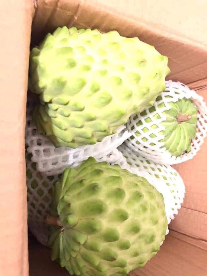 Nhiều cửa hàng đang bán loại na này với giá từ 260.000 - 300.000 đồng/kg. Loại size to 1kg/quả, giá mỗi quả lên tới 500.000 đồng.