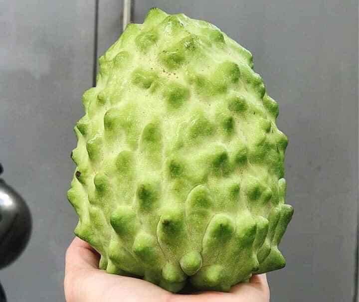 Tuy nhiên, đợt này chị Hoa phải đặt mua trước cả tuần mới có hàng.