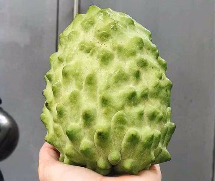 Tuy nhiên, đợt này chị Hoa phải đặt mua trước cả tuần mới có hàng.