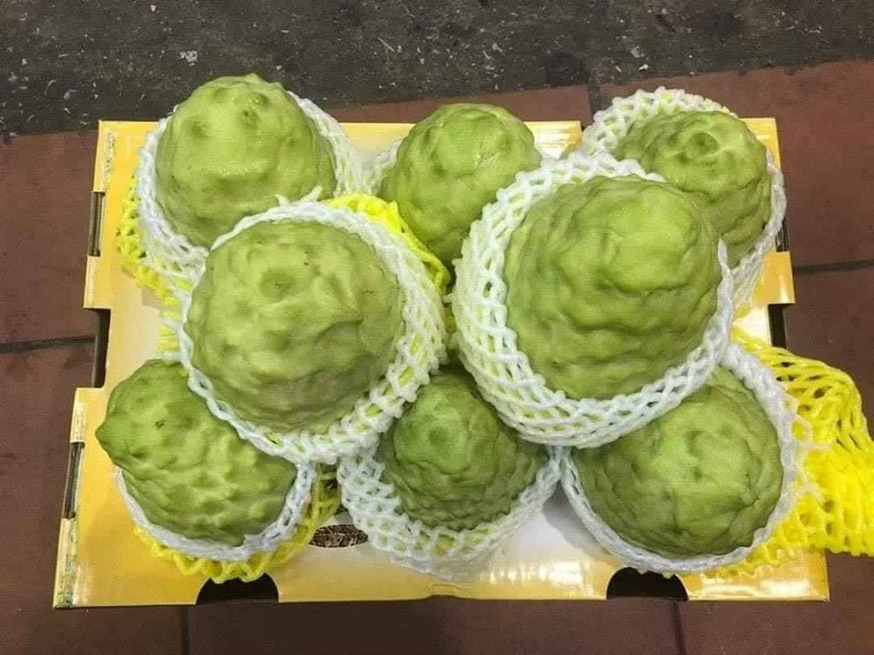 Theo người bán, na được xem là một trong những trái cây đặc sản ngon bậc nhất của Đài Loan.