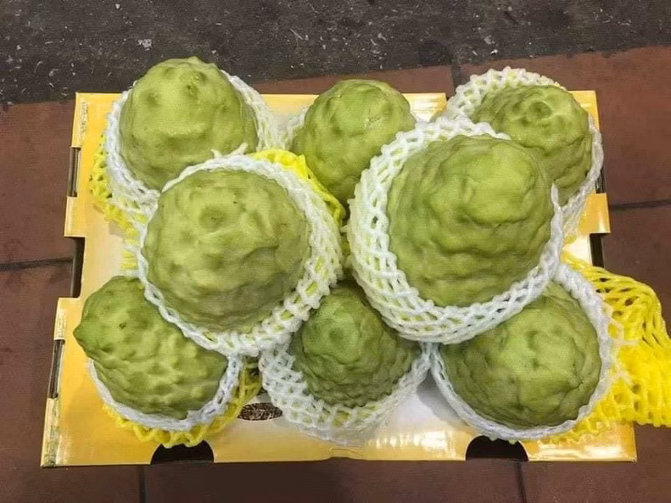 Theo người bán, na được xem là một trong những trái cây đặc sản ngon bậc nhất của Đài Loan.