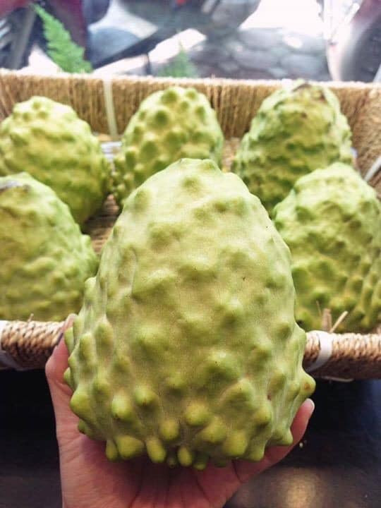 Nếu như na Việt Nam thì na Đài Loan quả nhỏ, hạt nhiều, vỏ dày trong khi na Đài Loan quả to, vỏ mỏng, ít hạt, vị ngọt thơm.