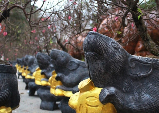 Trên bệ đỡ là những gốc đào đẹp nhất được tuyển chọn kỹ lưỡng từ các nhà vườn. Ảnh: Helino.