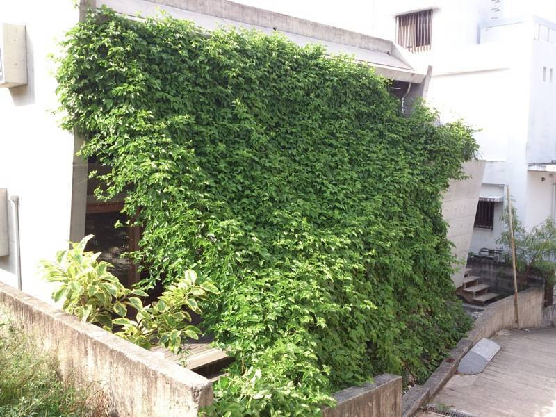 Lưới cây không chỉ ngăn nắng gắt lọt vào trong mà còn đảm bảo sự riêng tư cho các thành viên trong gia đình.