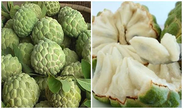 Phan biet na dai - na bo chi can nhin dung 1 diem, dung de nguoi ban qua mat