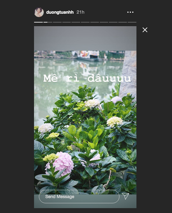 Á hậu Tú Anh cũng tranh thủ trồng hoa, rau củ trong thời gian ở nhà hạn chế ra đường. Cô khoe vườn hoa cẩm tú cầu đang trổ hoa cực đẹp.