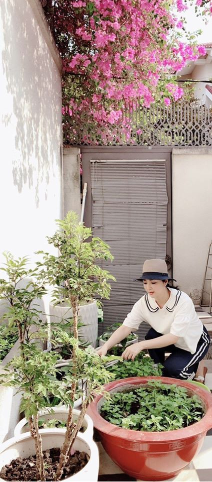 Tại "chốn bình yên" đắt giá này, Giáng My cũng tự trồng nhiều loại rau, hoa để không gian sống thêm đẹp.