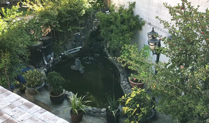Phía sân sau nhà còn có hồ cá đầy đủ non bộ, cây cảnh bao quanh, nước chảy róc rách, nhìn vô cùng thanh mát. Nguồn ảnh: Youtube Video: Độc đáo cách tạo lối vào nhà. Nguồn: VTC1