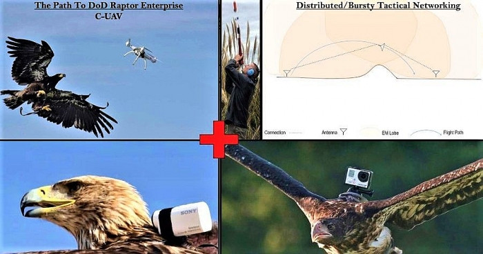 Khi cho va chim tro thanh chien binh lien lac