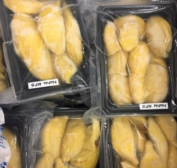 Thực khách khắp nơi hâm mộ loại sầu riêng Musang King bởi những đặc tính nổi trội như cơm thịt màu vàng như nghệ, mịn, vị ngọt thơm đậm đà, hạt lép dẹt chứ không tròn. Ảnh: Vinfruits.