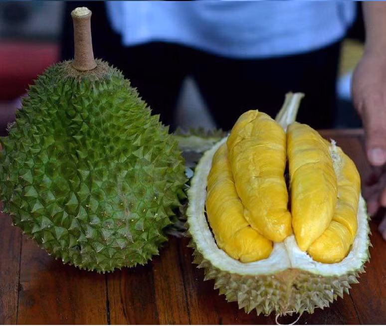 Ở Malaysia, giá sầu riêng Musang King khoảng 15 USD/kg, tương đương hơn 300.000 đồng. Ảnh: Facebook Video: Nhẫn tâm dùng hóa chất ép chín sầu riêng. Nguồn: VTC1