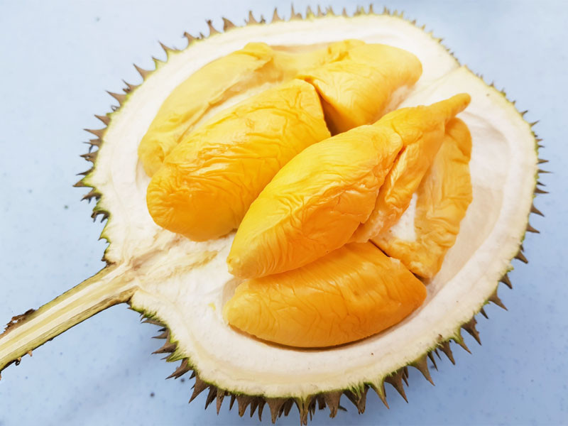 Khác với sầu riêng Thái Lan và Việt Nam, sầu riêng Musang King được thu hoạch hoàn toàn từ trái sầu riêng chín hẳn và rụng xuống nên cho ra độ ngậy và thơm vượt trội. Ảnh: Rickyfruit.