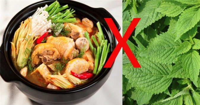 Loai rau ngon ngot den may cung khong duoc tha vao noi lau