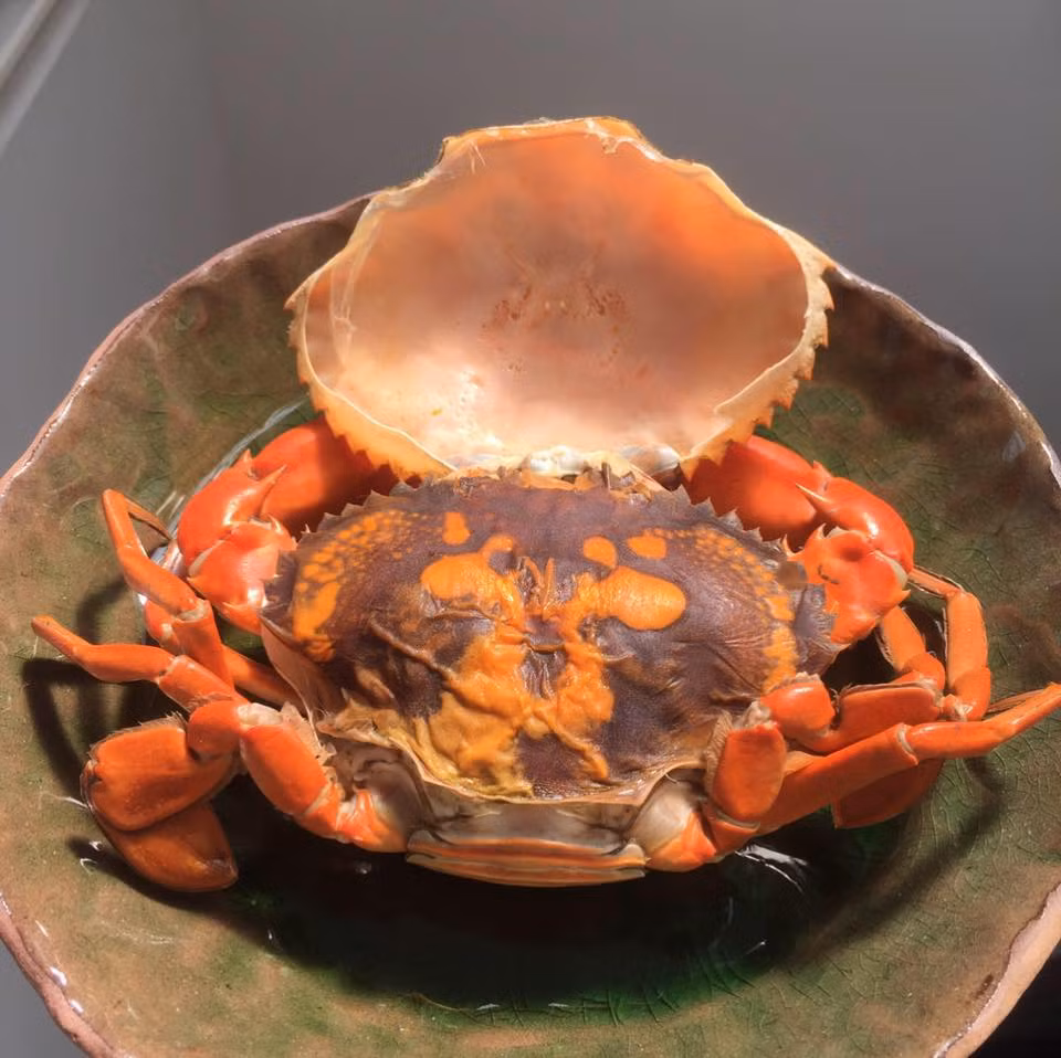 Vào đợt khan hàng, cua cốm có giá lên tới gần 1 triệu đồng mà không có để bán. Ảnh: Dân Việt.