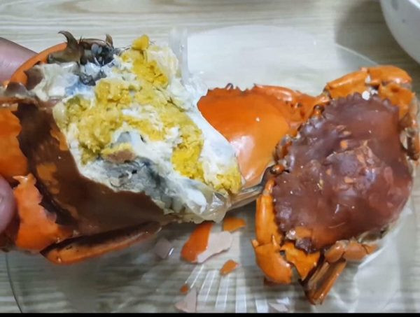 Với cua cốm đực, phần lông cua cốm đực vẫn trắng nên thường phải để ý chân bơi và hông cua, nếu chân bơi thấy có đường viền đỏ, hoặc bên hông bị nứt vỏ thì đó là cua cốm. Ảnh: Haisanhoanglong.