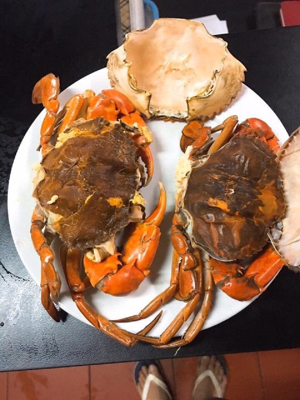 Vì vậy, việc tính toán thời điểm cua lột vỏ khá khó khăn nên rất ít người có thể bắt được cua vào thời điểm này. Ảnh: Haisanhoanglong.