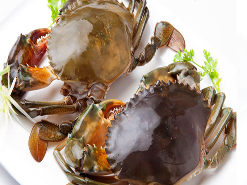 Theo một chủ cửa hàng hản sản ở Hà Nội, cua cốm tươi sống hiện có giá khoảng 720.000-790.000đ/kg.